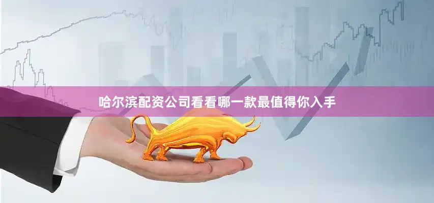 哈尔滨配资公司看看哪一款最值得你入手