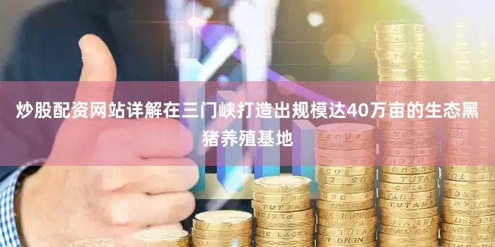 炒股配资网站详解在三门峡打造出规模达40万亩的生态黑猪养殖基地